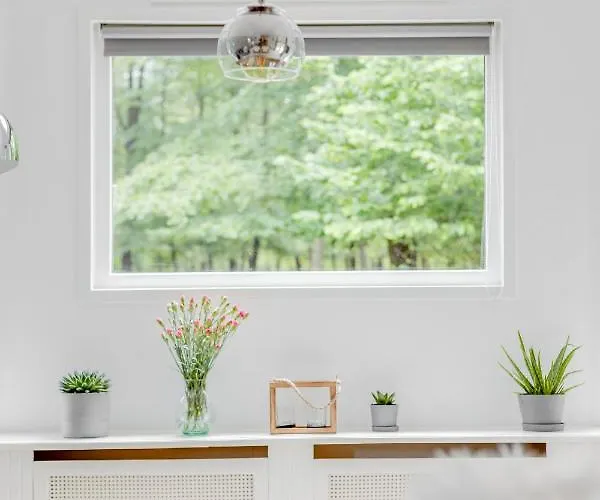 Chalet Descansar Op De Veluwe Beekbergen