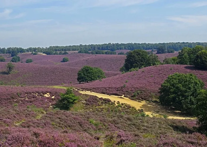 Descansar Op De Veluwe Chalet *