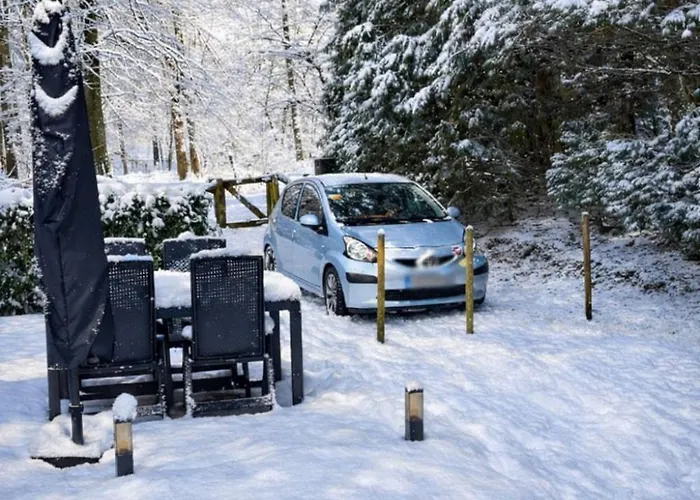 Descansar Op De Veluwe