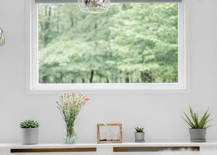 Descansar Op De Veluwe Chalet