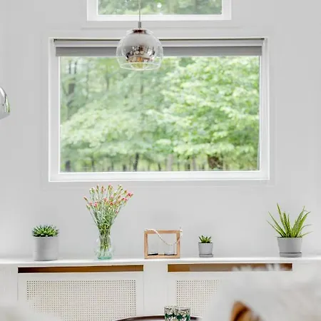 Chalet Descansar Op De Veluwe Beekbergen