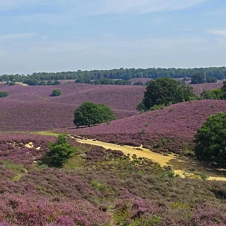 Descansar Op De Veluwe Chalet *